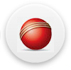 cricket websites
